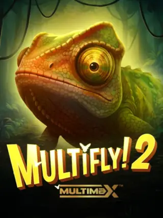 MultiFly 2 MultiFly 2